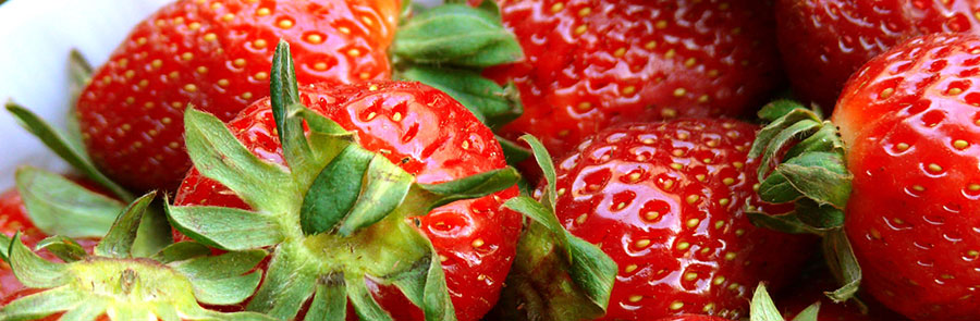 Rijnland aardbeienkwekerij - Recepten met aardbeien